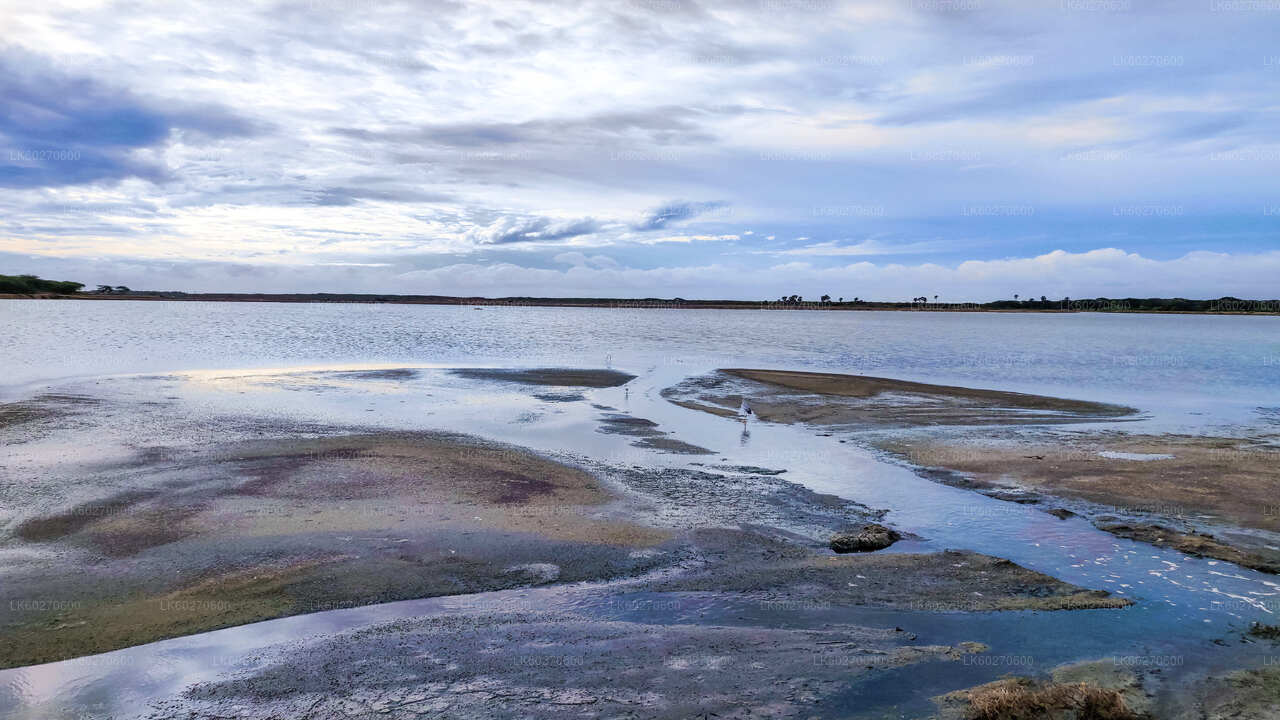 Сафари в национальном парке Бундала из Диквеллы.