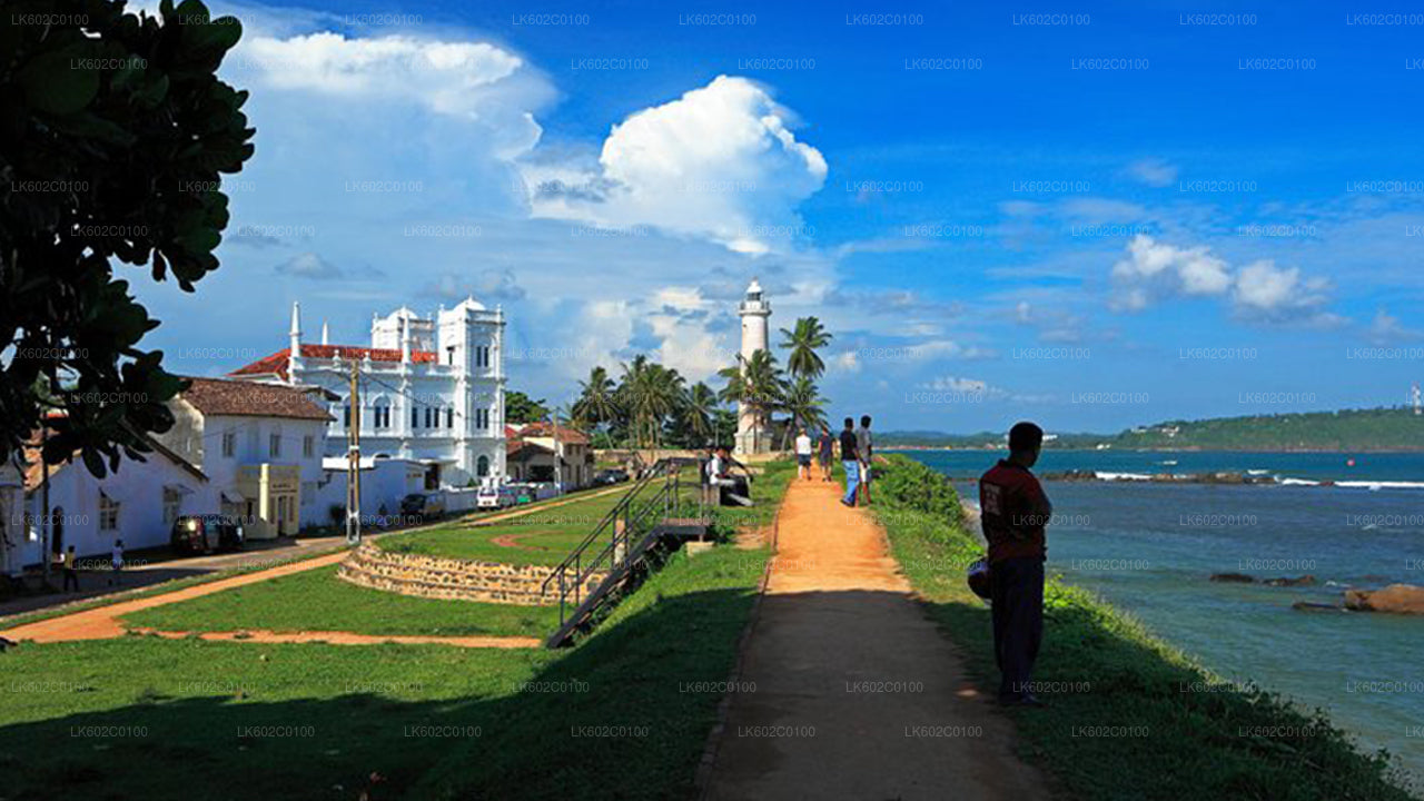 Достопримечательности южного побережья из города Велигама