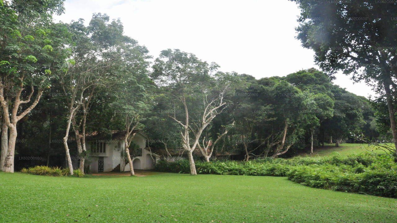 Экскурсия по Бентоте из Мириссы