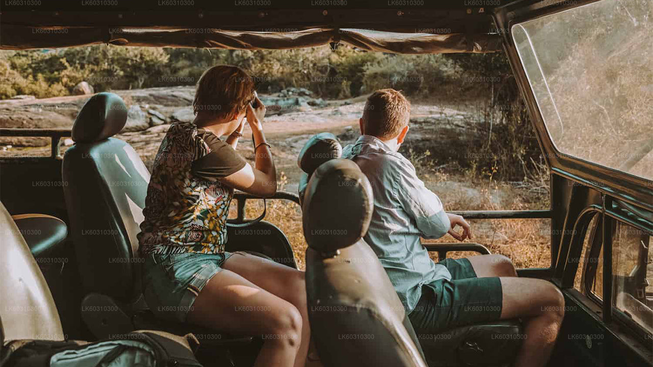 Сафари в национальном парке Яла из Ахангамы