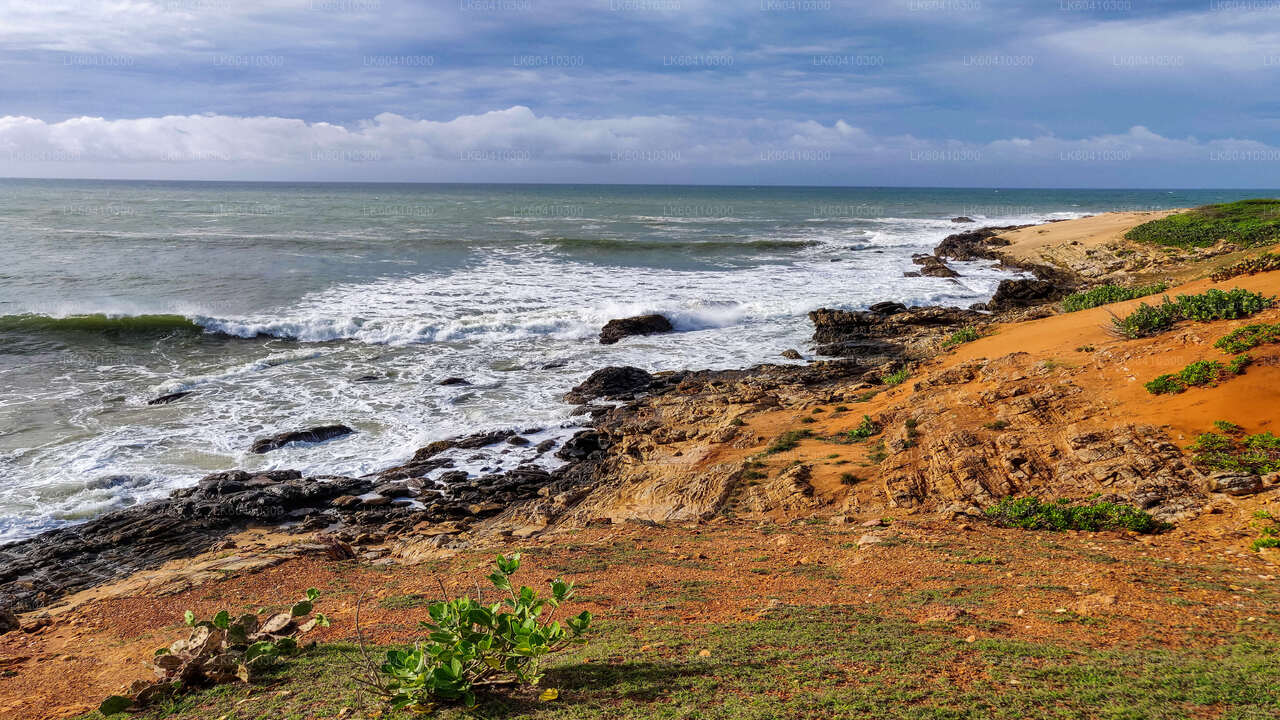 Сафари в национальном парке Бундала из Унаватуны