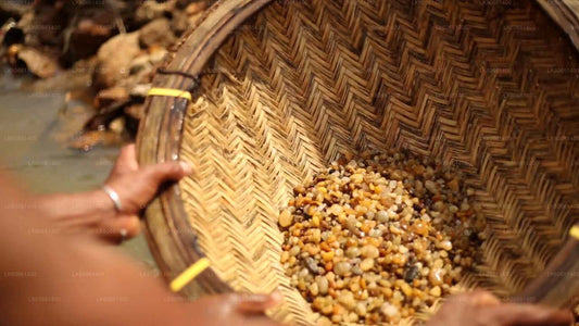 Исследуйте рудники драгоценных камней в Ратнапуре с горы Лавиния