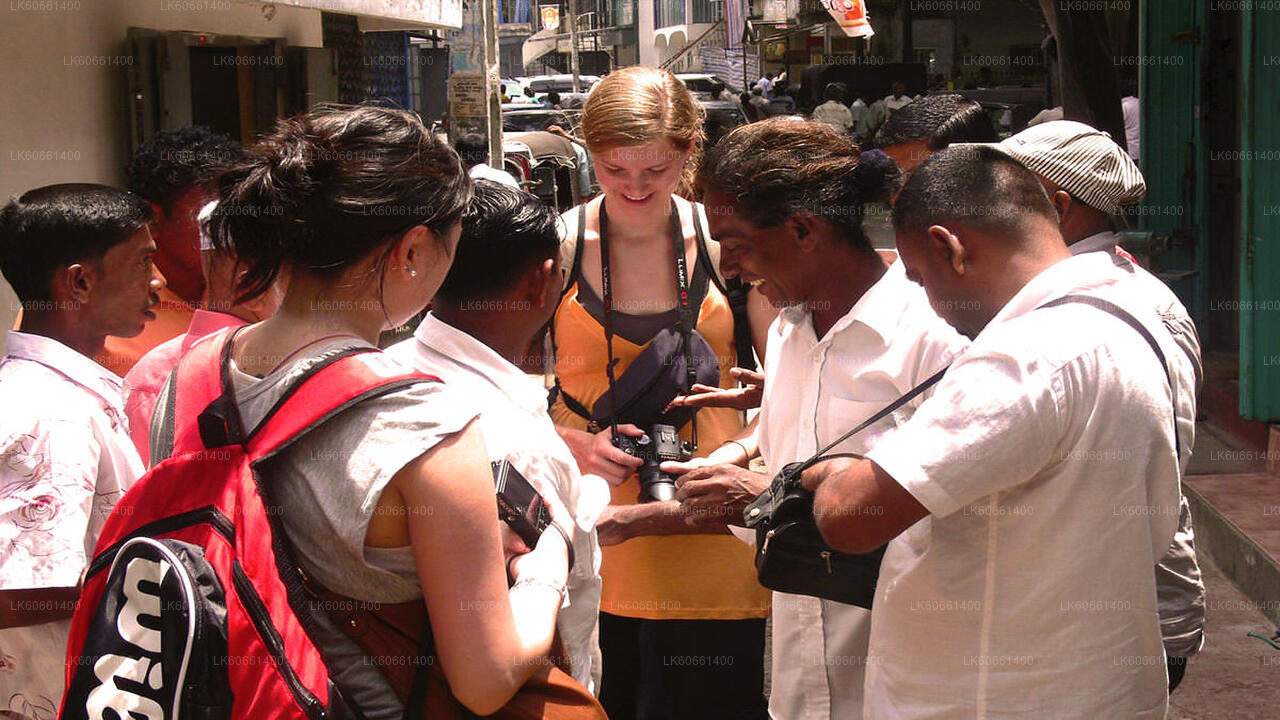 Исследуйте рудники драгоценных камней в Ратнапуре с горы Лавиния