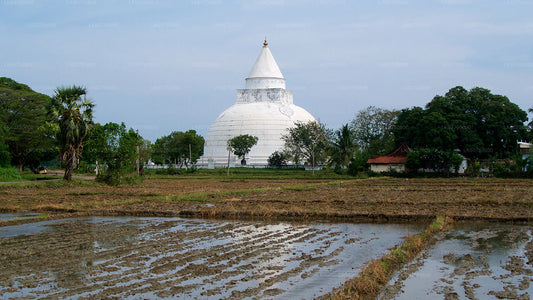 Ancient Temple Run Tour from Mattala