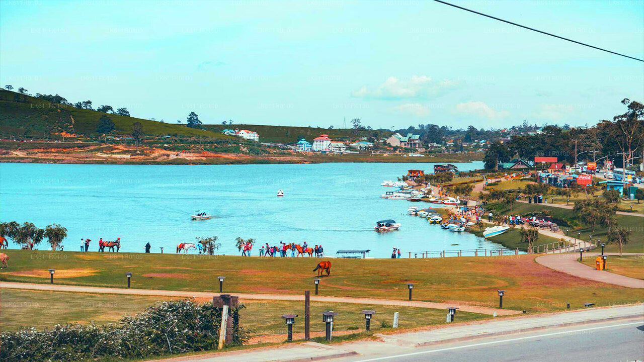 Экскурсия по городу Нувара-Элия