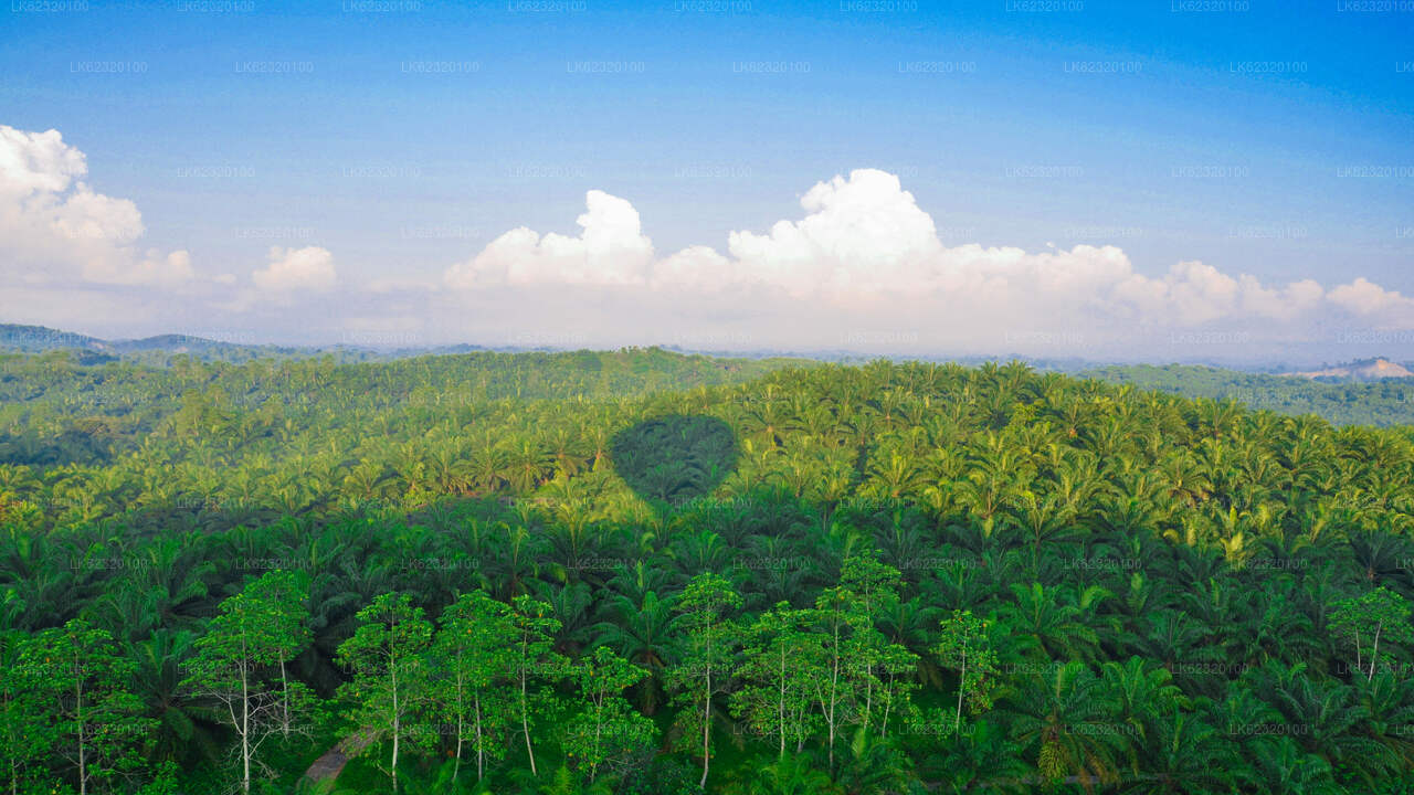 Тур на воздушном шаре из Хабараны