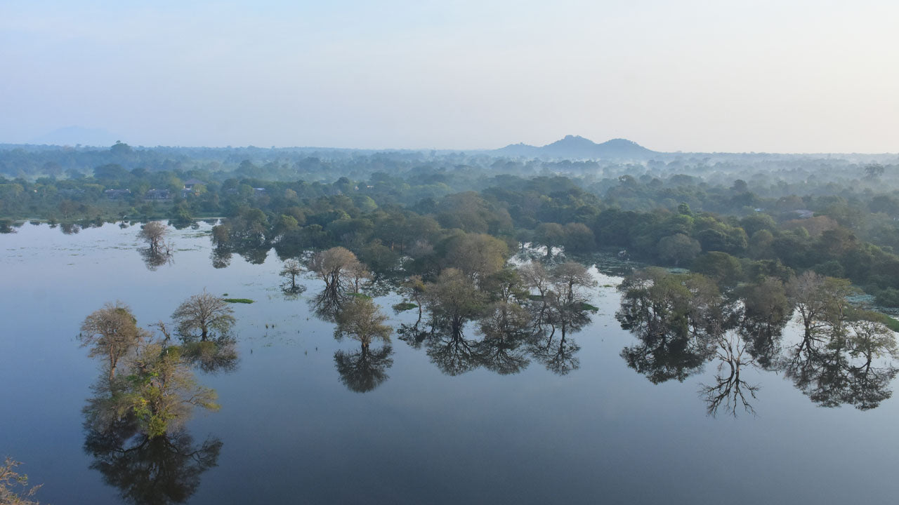 Тур на воздушном шаре из Кандаламы