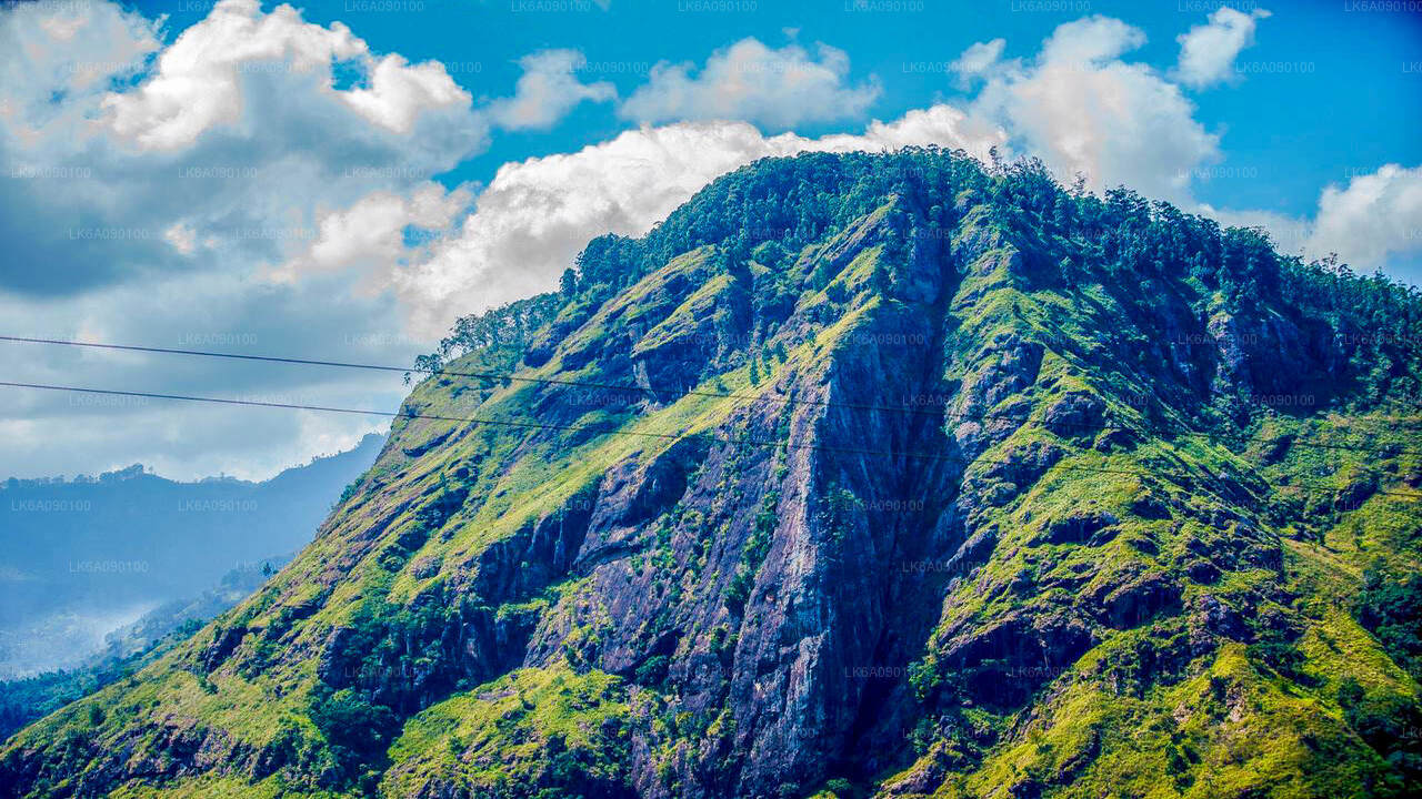 Летающий мега-зиплайн «Равана» от Эллы