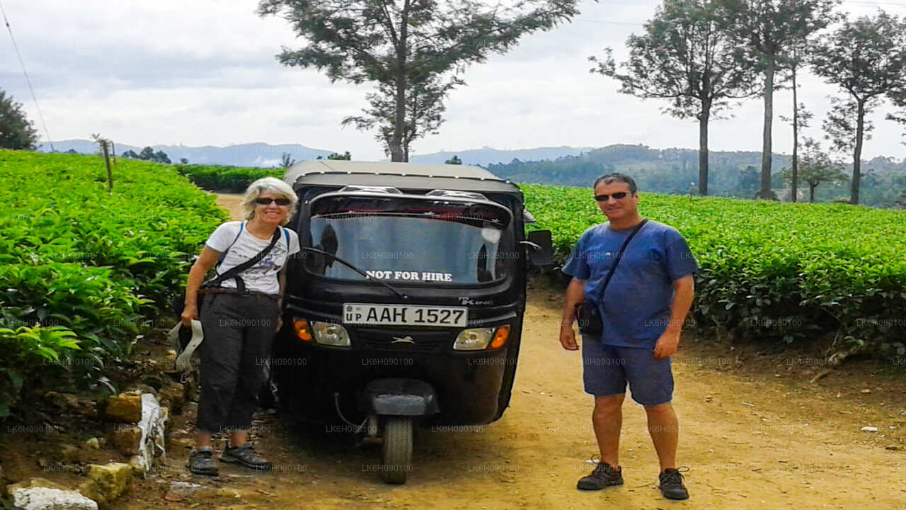 Приключение на тук-туке от Ella