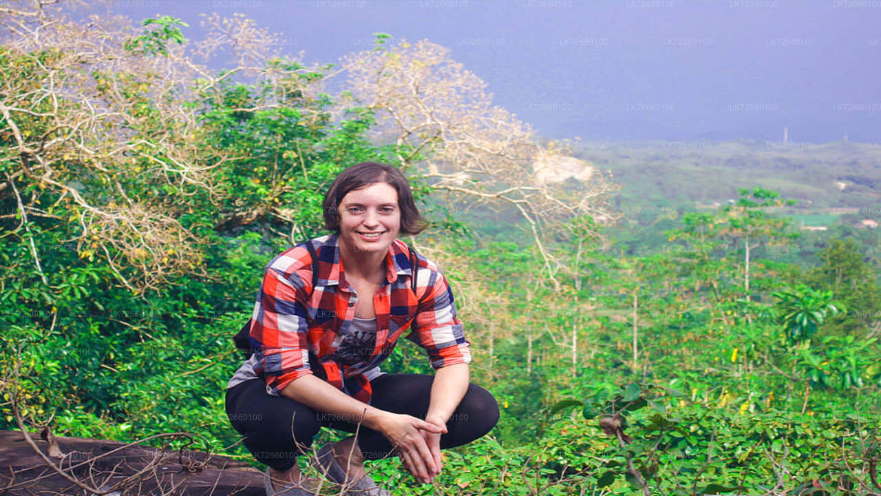 Скалолазание в лес с горы Лавиния