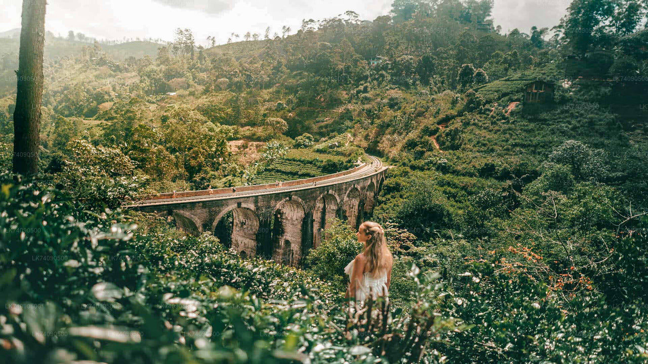 Trekking to Warakara Waterfall from Ella