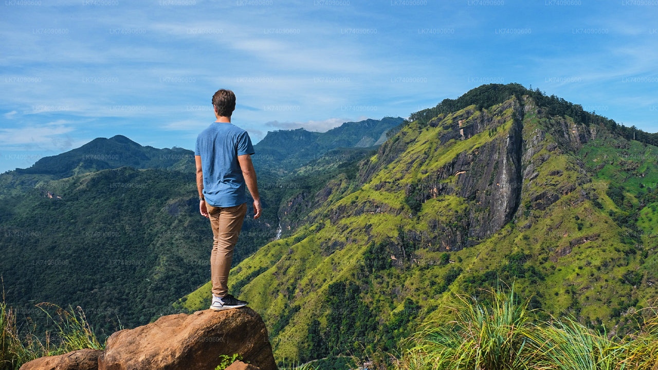 Пеший тур к Элле «Три иконы от Эллы»