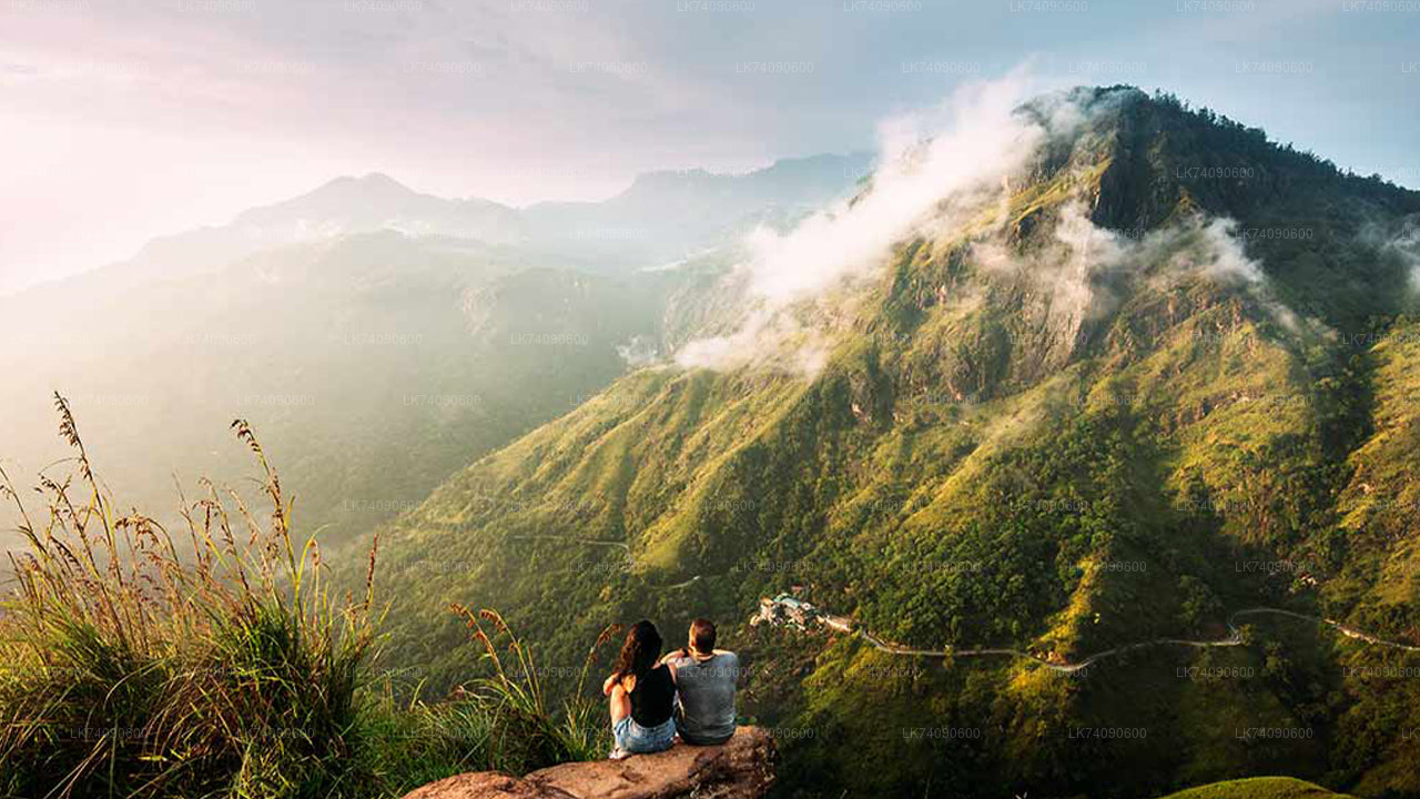 Пеший тур к Элле «Три иконы от Эллы»