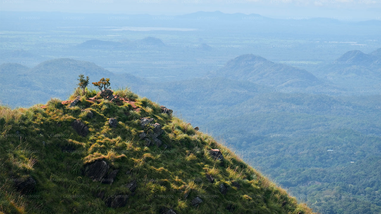 Пеший тур к Элле «Три иконы от Эллы»