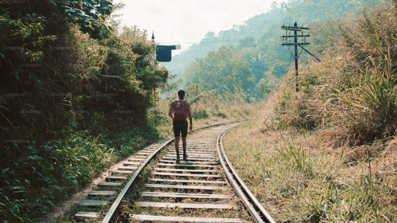 Пеший тур к Элле «Три иконы от Эллы»