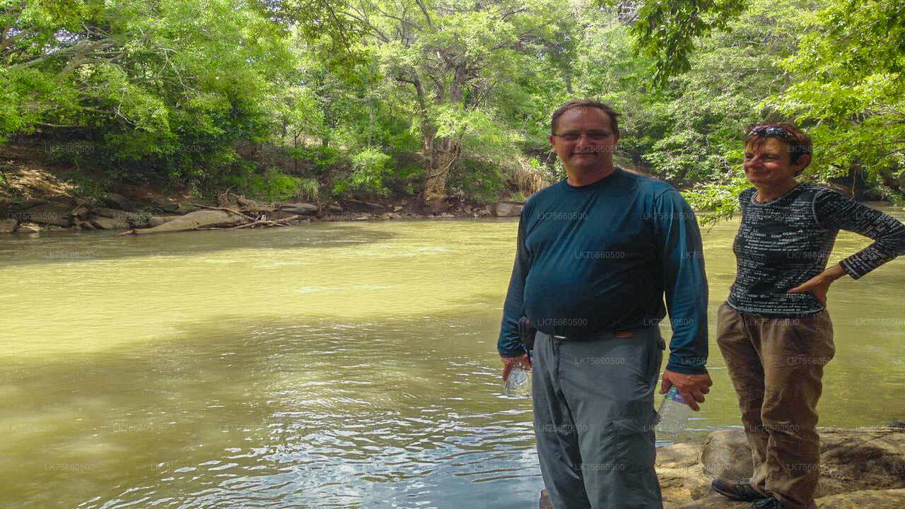 Сафари по наблюдению за птицами в национальном парке Удавалаве с горы Лавиния