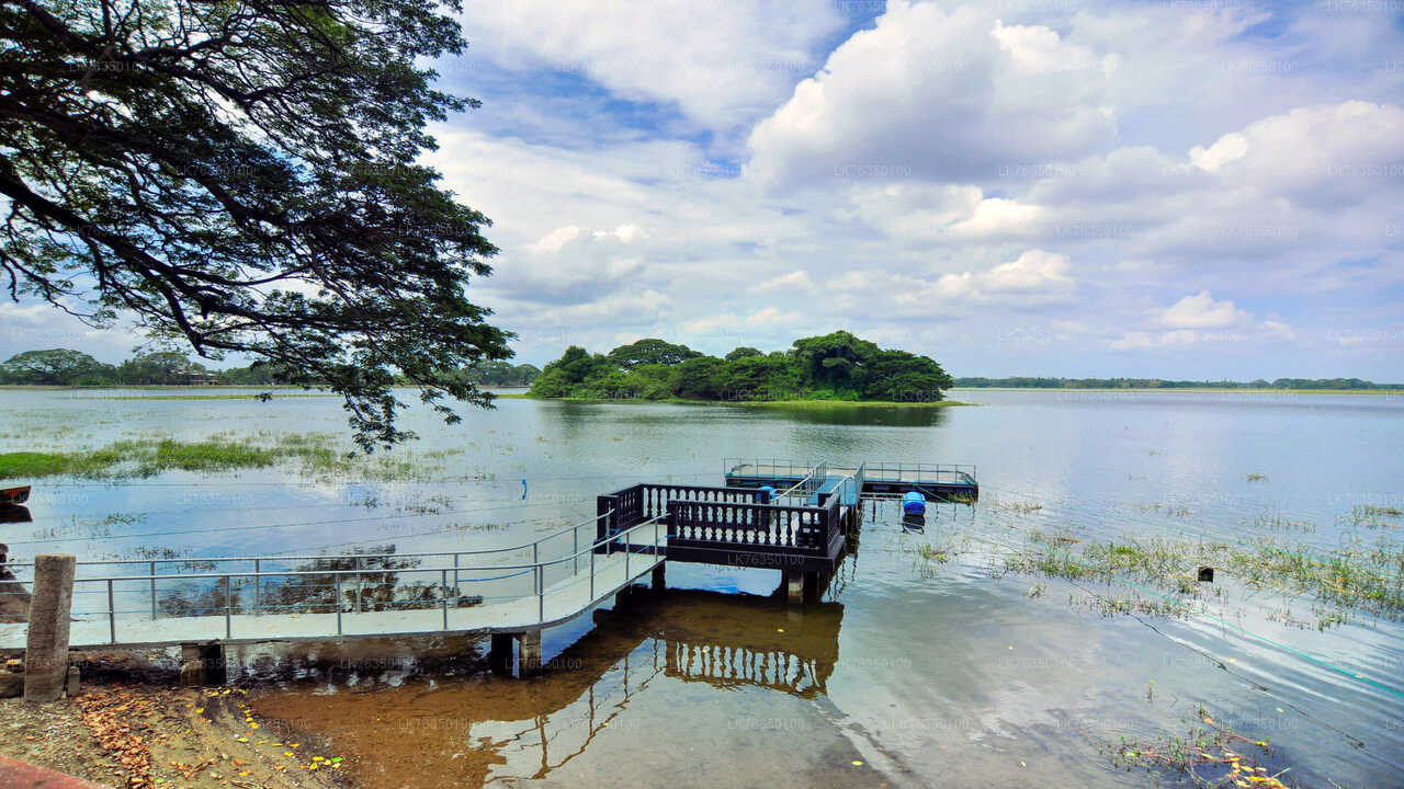 Прогулка на лодке по озеру Тиссамахарама