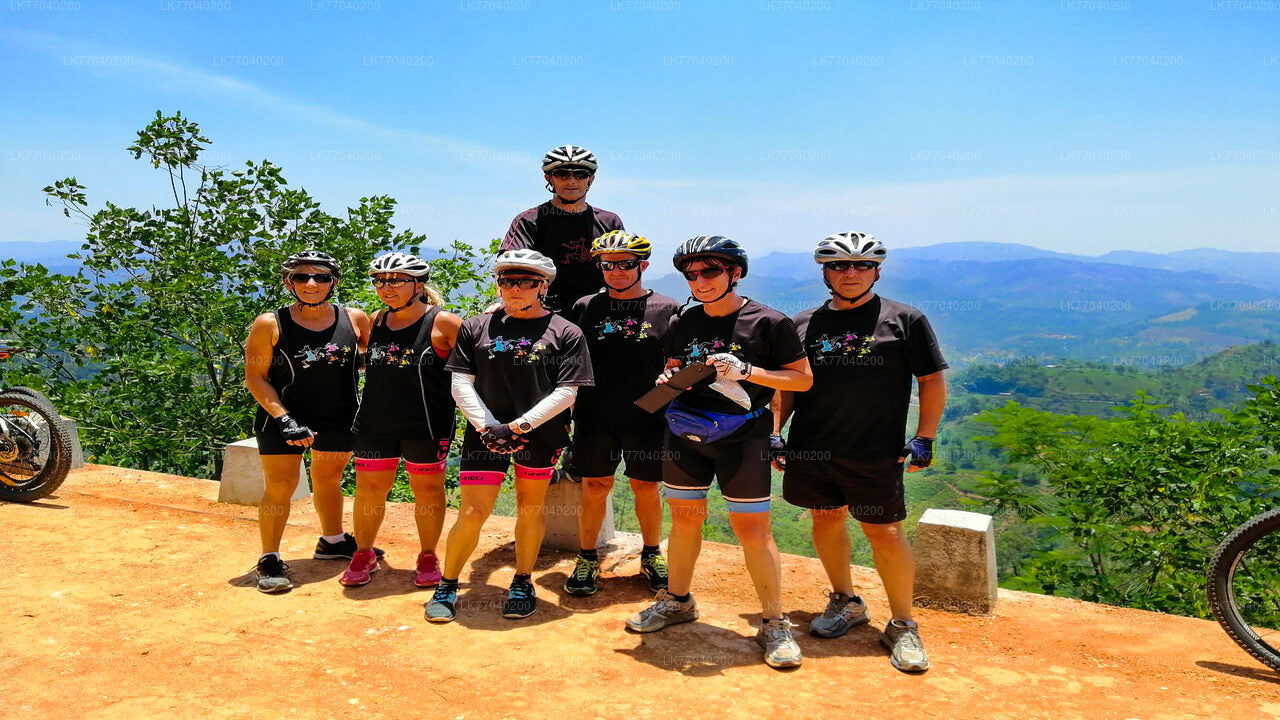 Загородная прогулка на велосипеде из Галле