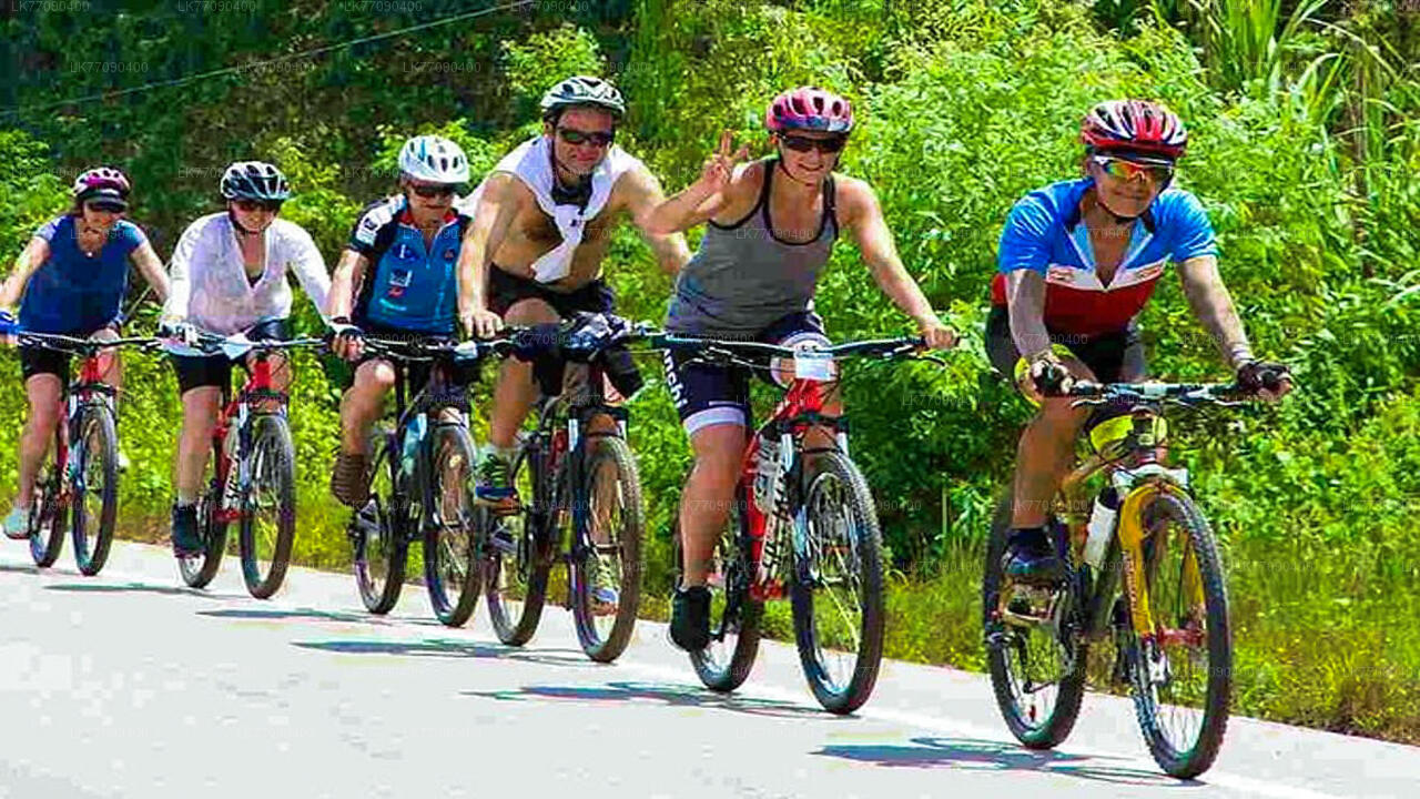 Откройте для себя древнюю Эллу на велосипеде из Эллы