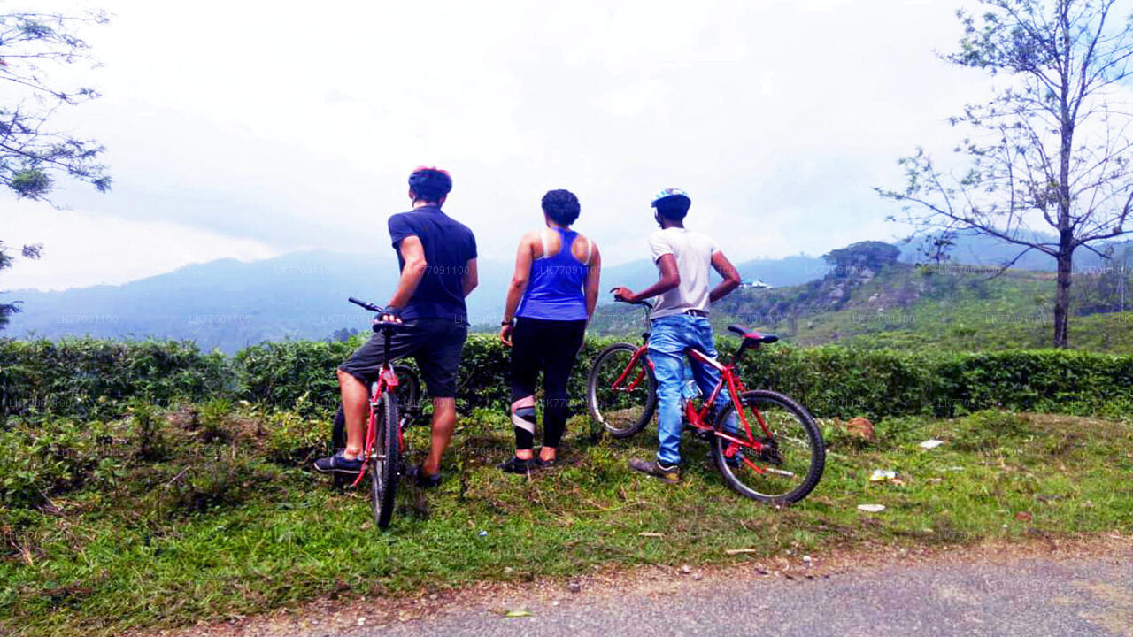 Приключенческий велоспорт от Ella