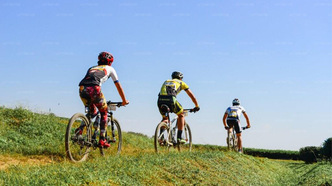 Приключенческий велоспорт от Ella