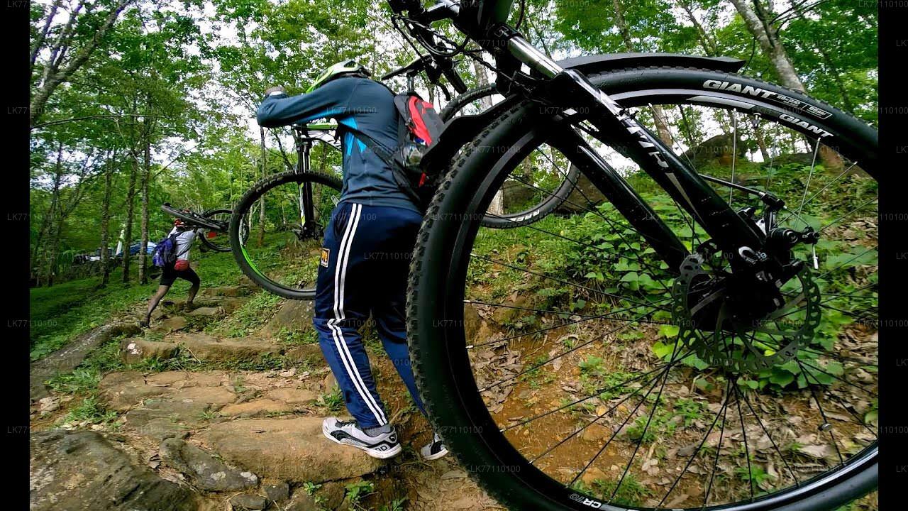 Велопрогулка из Хиккадувы