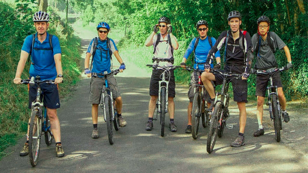 Велосипедный тур в Мулкиригала из Тангалле