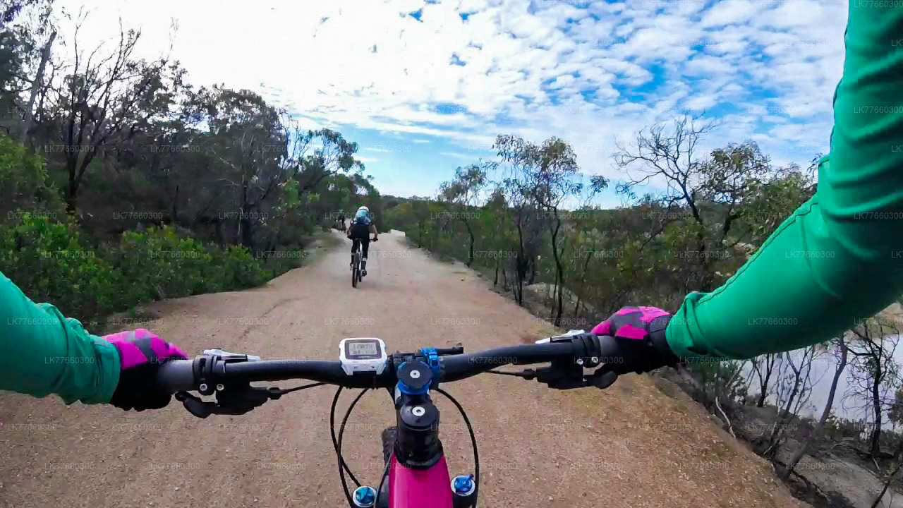Велосипедный тур по водно-болотным угодьям Талангама из Коломбо