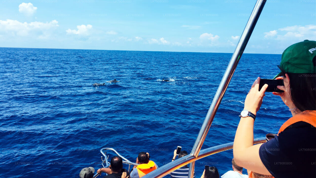 2-дневный круизный отдых в Мириссе