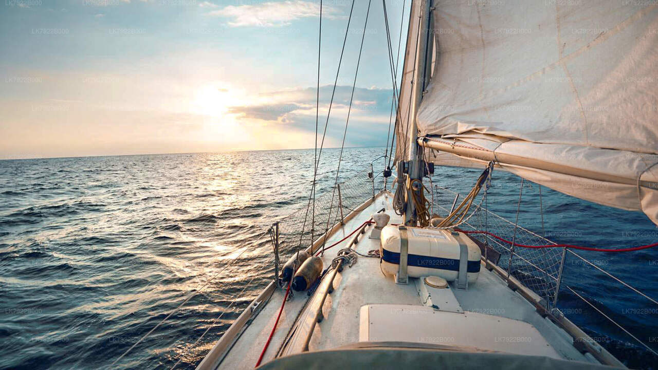 Whale Watching Sunset Yacht Tour from Trincomalee