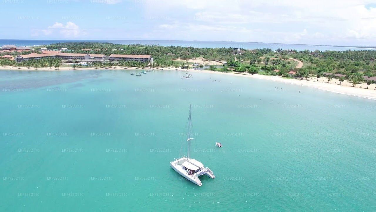 Ночной круиз на яхте из Пасикуда