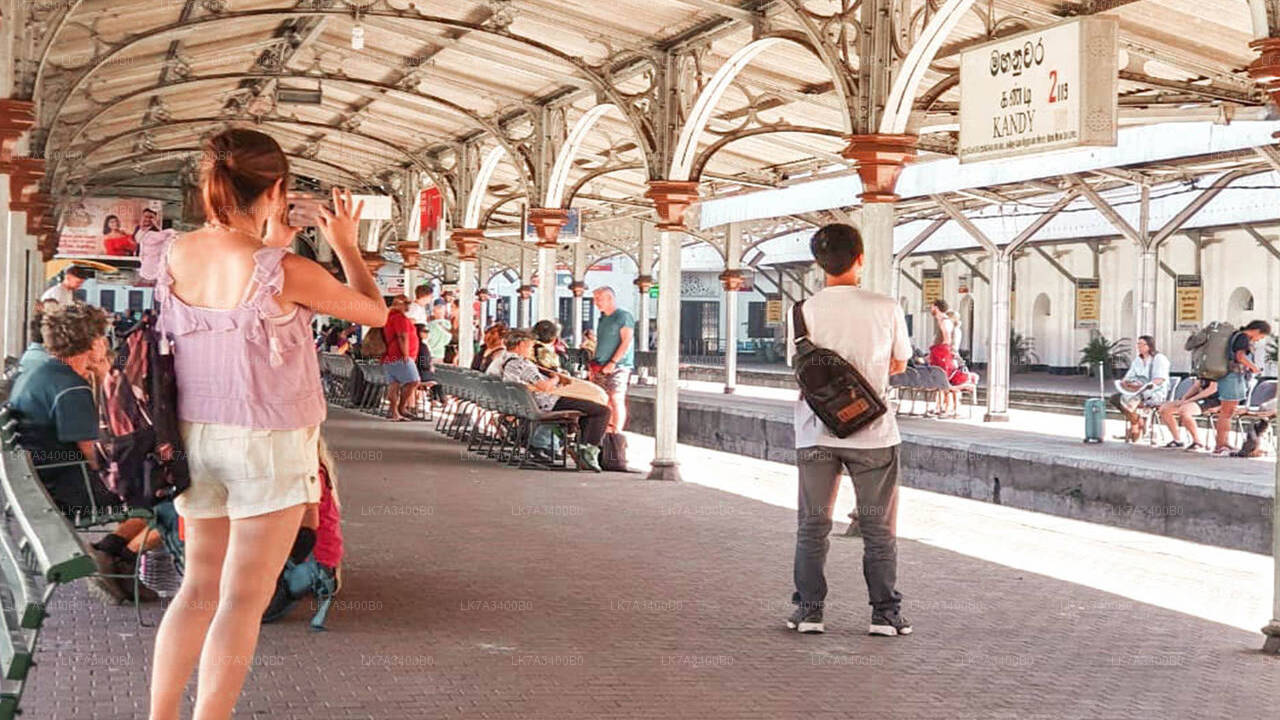 Поездка на поезде из Канди в Нану Ойю (поезд № 1015 «Ударата Менике»)