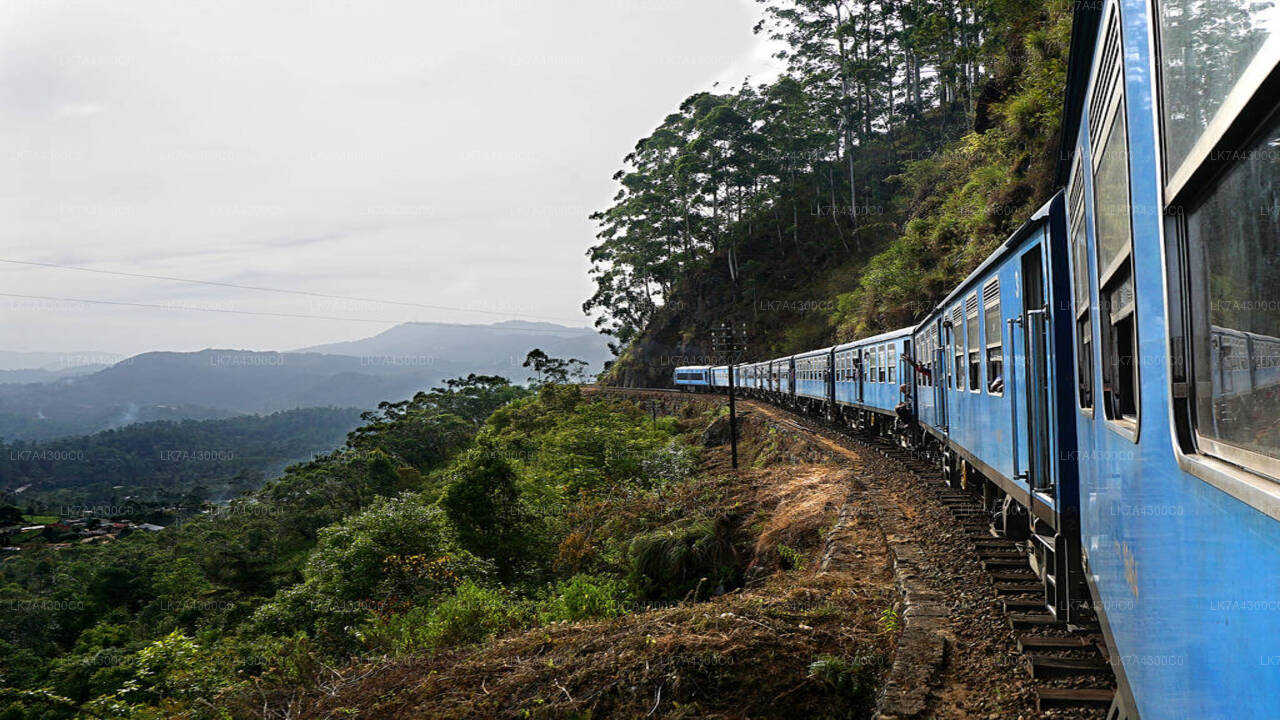 Nanu Oya to Kandy train ride on (Train № 1006 "Podi Menike")