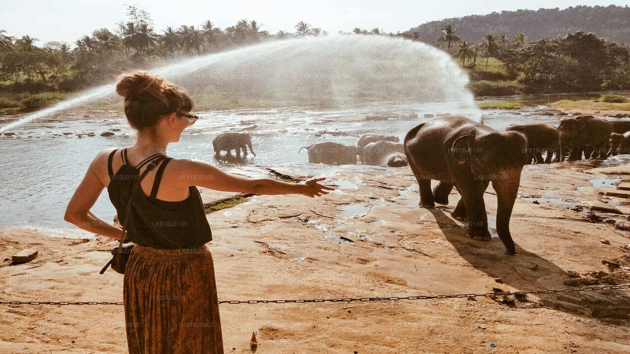 Экскурсия по Канди из порта Коломбо