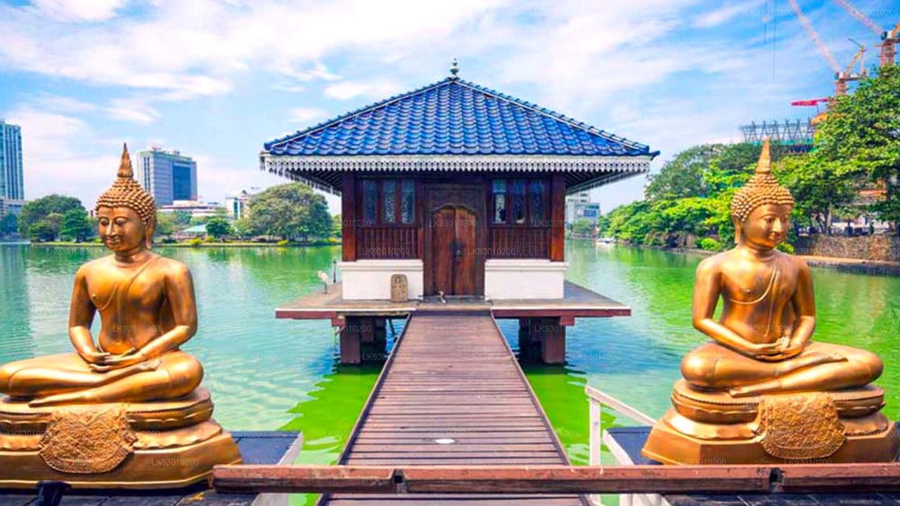 Опыт буддийской иконографии в Коломбо