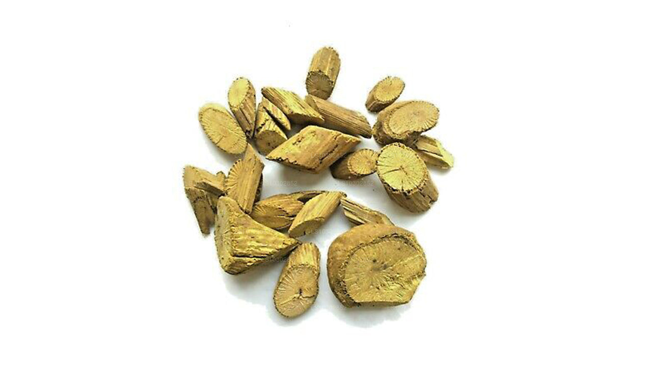 Лампура Венивельгета Баркс