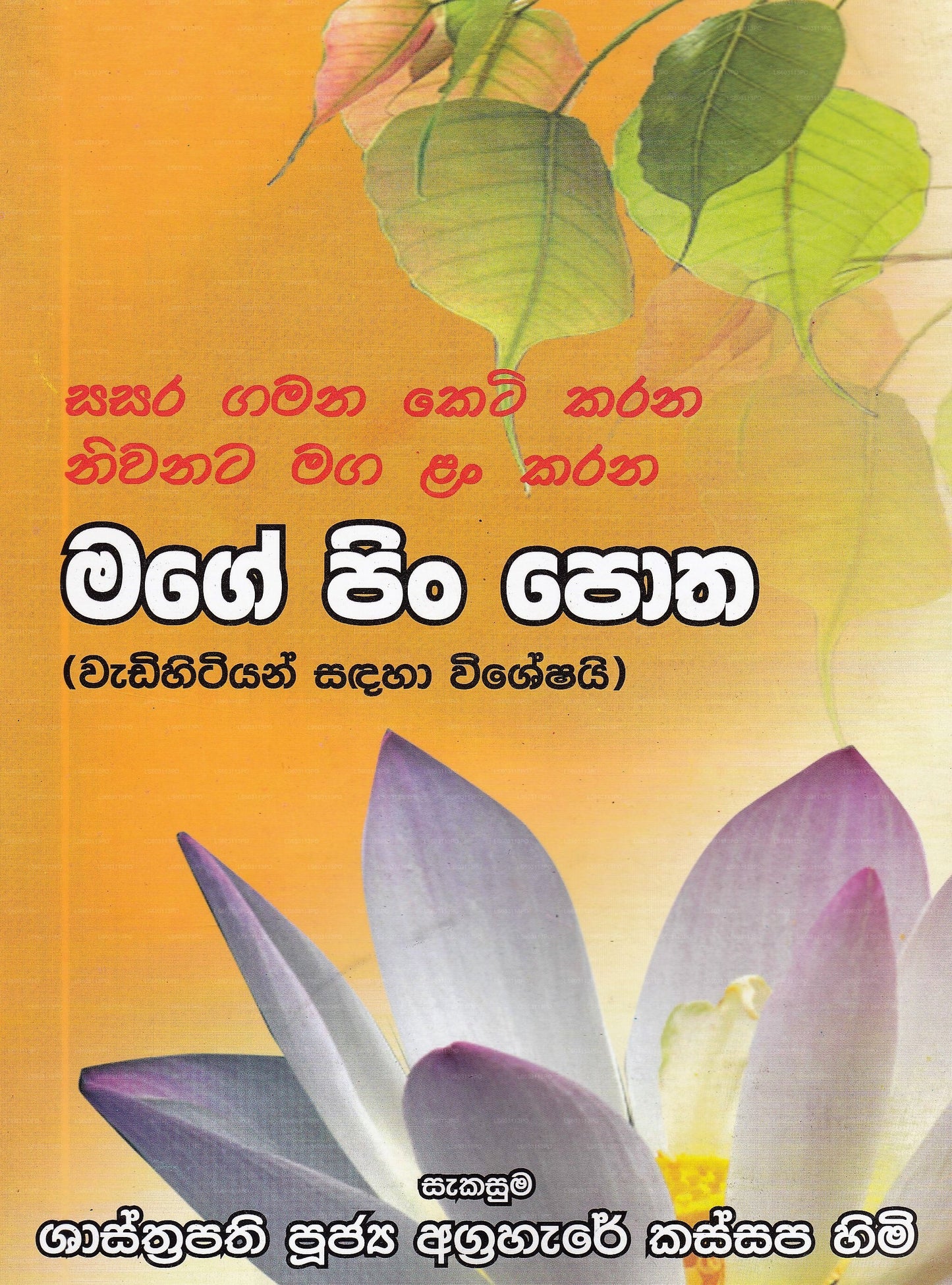 Маг Пин Пота (Вадихитиян Сандаха Уишешай)