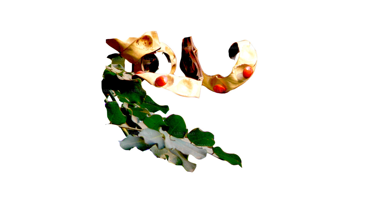 Семена Lakpura Madatiya (красные семена, декоративные семена) 250 семян