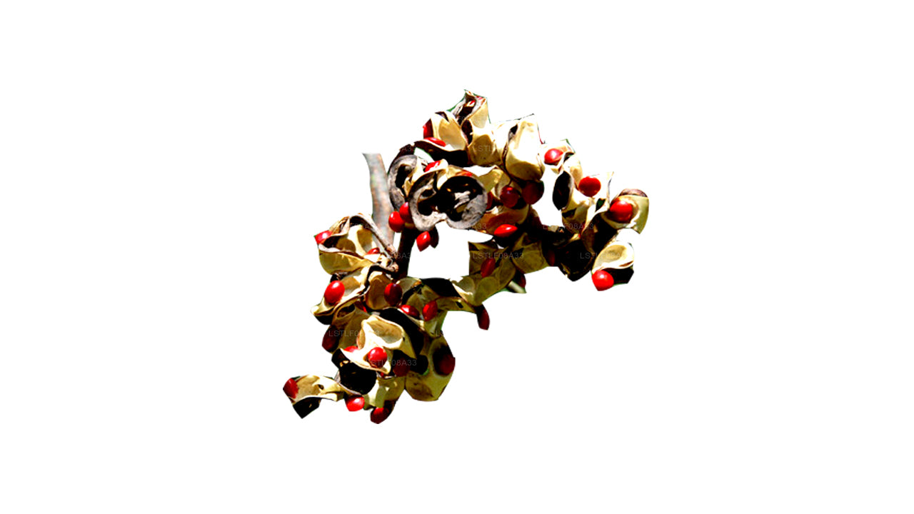 Семена Lakpura Madatiya (красные семена, декоративные семена) 250 семян