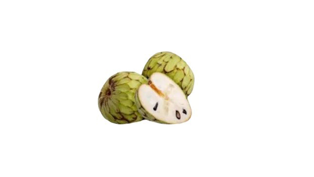 Lakpura Cherimoya Plant